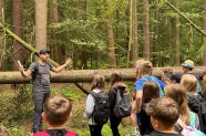 Mann steht vor einer Gruppe Kinder im Wald