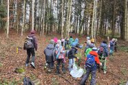 Kindergruppe im Wald