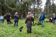 Personengruppe mit Dackeln im Wald