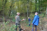 Förster führt Personengruppe durch Laubwald