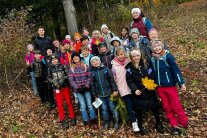 Kindergruppe im Wald