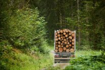 Ein beladener Holztransporter im Wald