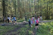 Förster mit Kindergruppe im Wald