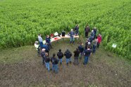 Personengruppe auf Feld